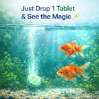 Water Purification Tablets For Fish Tanks | BUY 1 GET 1 FREE!