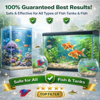 Water Purification Tablets For Fish Tanks | BUY 1 GET 1 FREE!